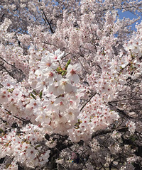 ��һ���⣬�ո�����