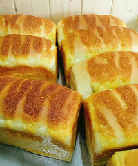 �ƽ���˺�� �Ŀ�Ǯ����һ����ʵ�����ϳ� �����Ŷ�ϲ����