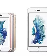 ƻ��Ҫ���£������䡱Apple��Ȼ������� 5����6S��