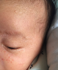 �����ơ�����ҽ����æ���±������ϳ�����ʲô