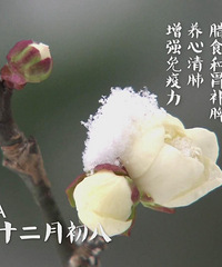 ����������˽ڣ�������������ȡ��ͼ���ʳ�¯ �����ղأ�