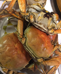 �˰۰�������63.9/λ ��һ�˳���7ֻ��բз