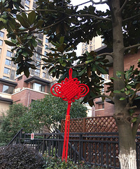 ɹ��ζ���Ҽ�С���ѹ������й��� ��ϲ�죡