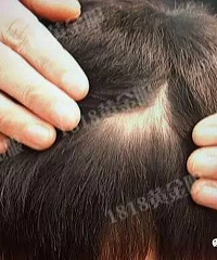 �ۣ�С�к�����һ��ͷ�� �׶�԰԰����˵��