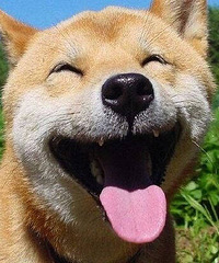 �����������������