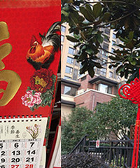 ɹС���������ζ�� �͸����ޣ�