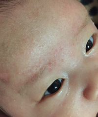 �����ơ�����üë�ȴ��н���