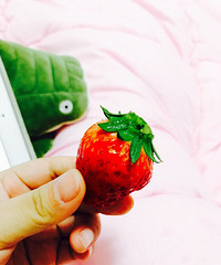 �������ؼҹ���