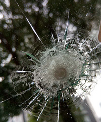 ��ŭ������ĳС��10��������������ǹ����