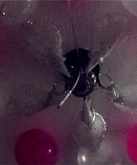 ҾȻҪ˼Сޡů ⻹ǵڶΣ