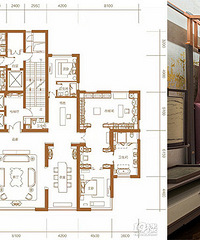 100�O���� ���8.1m�Ŀ��� ������