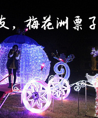 ������ Ʊ��Ҫ����������������÷���޵ƻ���Ʊ