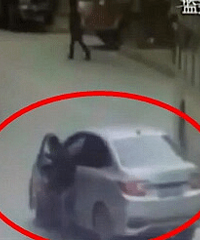 ����ͣ��������ɲ��