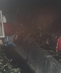 ���ۣ�С���ҹ�Ϳ�� һͷ������˵�