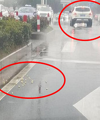 ���Ŀ�����ȥ �ȵƵĿյ������ⶪ�����Ĵ�������