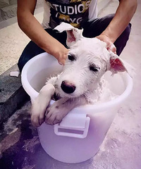 94��˫����MM ���Ҹ������ܱߵ�����������