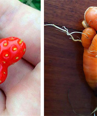 �ɾ��ˣ���Щ���ó������ϵĹϹ��߲�