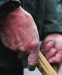 �����˽����������������ǣ����������ֳ� ���ʵ͵���