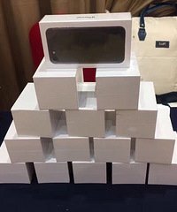 ���˸�������˾����ع⣺ƻ���ֻ���coach������ŷ��˫����