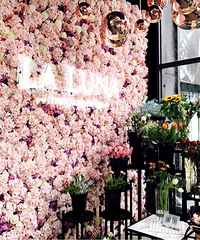 ��ݮ������������ݮ����������������Ǳ��� ���ݴ�����