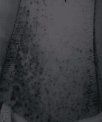 ��������Ļ�ŵ��Ь�Ӿ�Ȼ��ù�� ��ɫ�ߵ���������...