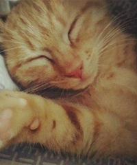 ��2017�������ռǡ���ʶ10�� ����������޳�����