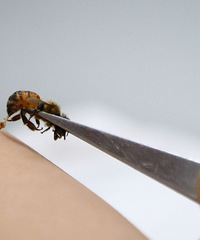 ����һ���ӱ�������һ�ڣ���㶪������