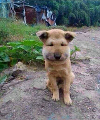 ��ĬĬ��������2���ע��������һ�� �����һ����