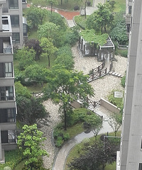 [����]ѡ����ᣡ��С������ͥ����ͨ�� ����һ����