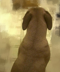 ������ը�졭����2500Ԫȥ��