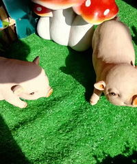 ����ʶ�ˣ���Ȼ�������Ļ�������