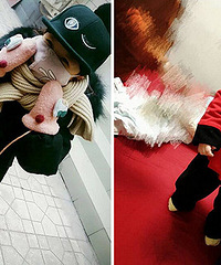 ����ɹ�������·� ����ͻ��峵��������