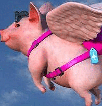 ǧ�����������