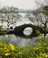 ������2016���2009��ļ��˶����Ƿ���