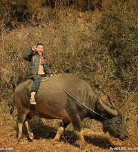 ����ũ��ĺ��¹����ǽ����ҵĳ��� ���ǻ���