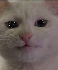 ��͵궼������ ����ȴ�����ϰ࣡�����ֵ��ǻ����ǣ��ۣ�