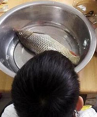 �������﷢������������ϰ巢�����ȴ�ǡ�