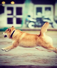 ����ͬ��Ķ������� �������Լ���Ȼ������ ��ô��