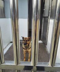 С�к���ʧ�����ϰ� ���˾�Ȯһ·׷���һغ���...