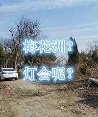 ��������һƬ�ĵ�