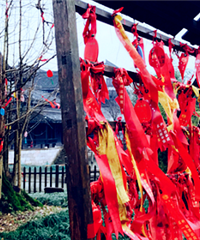 �����һ���£���Ҫ�ѵ���