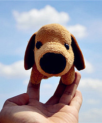 �´���ߣ���̸�˸��ٶ���