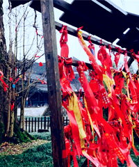 ��2.12ż��÷���ޡ������һ���£��ѵ���