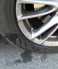 ��ը���ҵ�Ӣ�����ͣ��С���� �����˼ҵĹ�������̥������