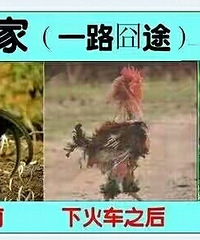 ����Ҷ��ӹ�ǰ�� ����ѻ���Ǩ��������Ӹ��Ҿ�û��ë��ϵ