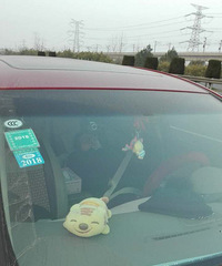 �������ҵĸ磡��ͣ�ڸ���Ӧ������˯��� ��Ҫ������