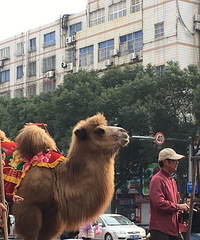 �����һ ���������ºӣ�