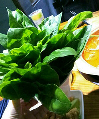 �˰۰��¿�����һ���� ��˵������������Ұ����