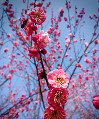 �Ϲ����ó��� �Լ����˽�̤��ȥֲ��԰��÷