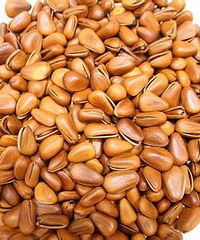 �������Ϲ�Ͷ���ҳ����������ӣ�ֻ������ȫְ����